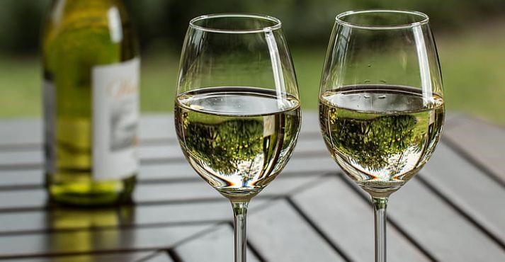 Sauvignon-Blanc-Glasses