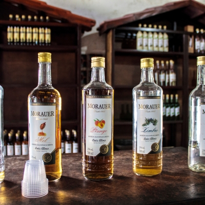 Wine Lover’s Guide: 15 Must-Know Wine Varieties