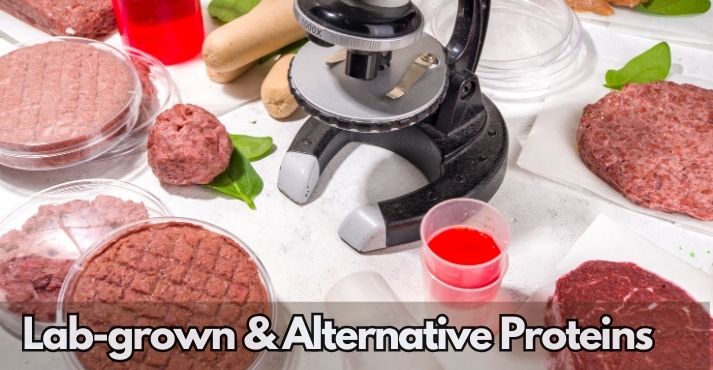 lab-grown-and-alternative-proteins