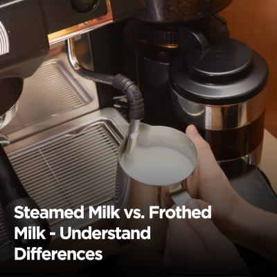 Steamed Milk vs. Frothed Milk