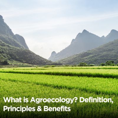 What is Agroecology? Definition, Principles & Benefits