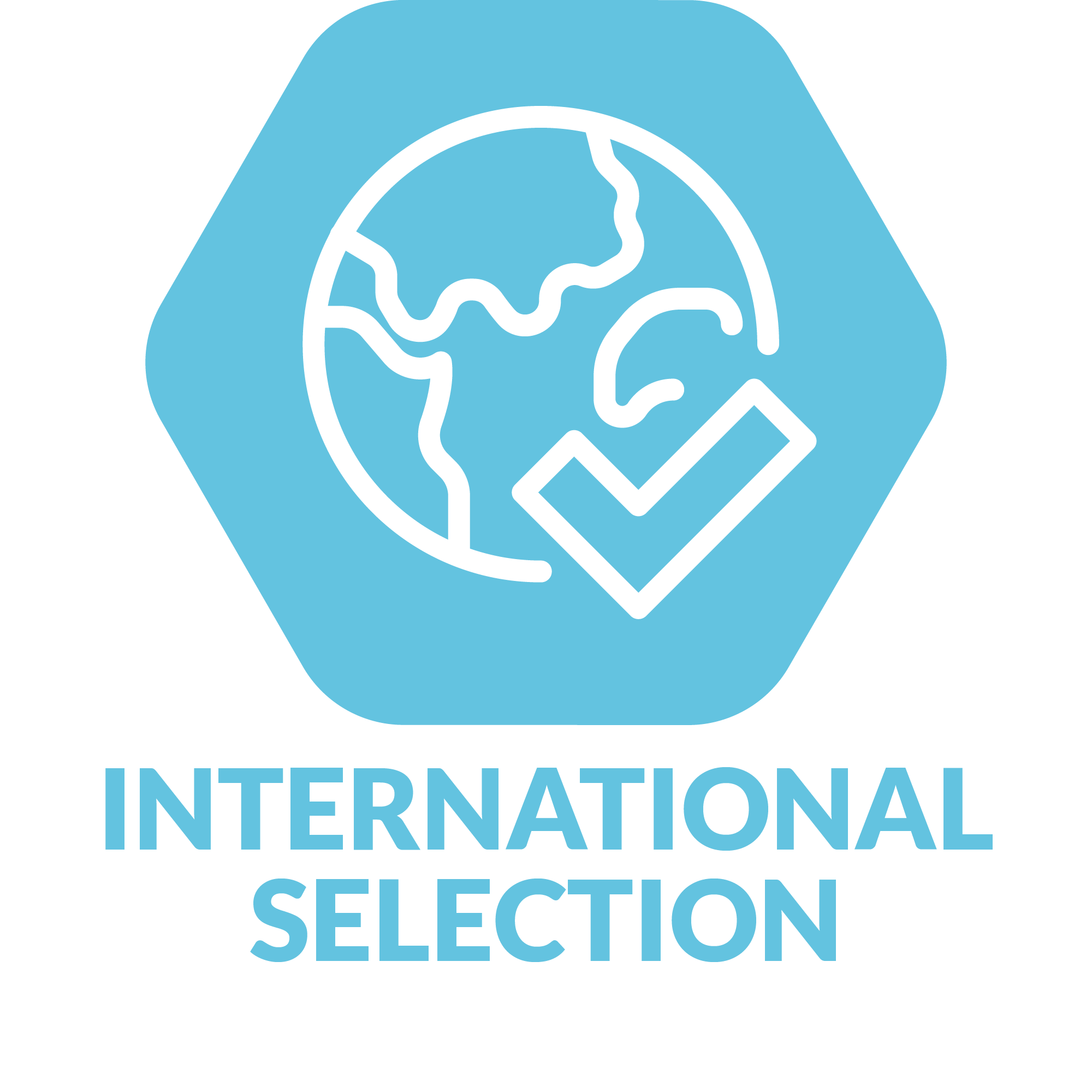 FHFB25_Segment Icon_International Selection