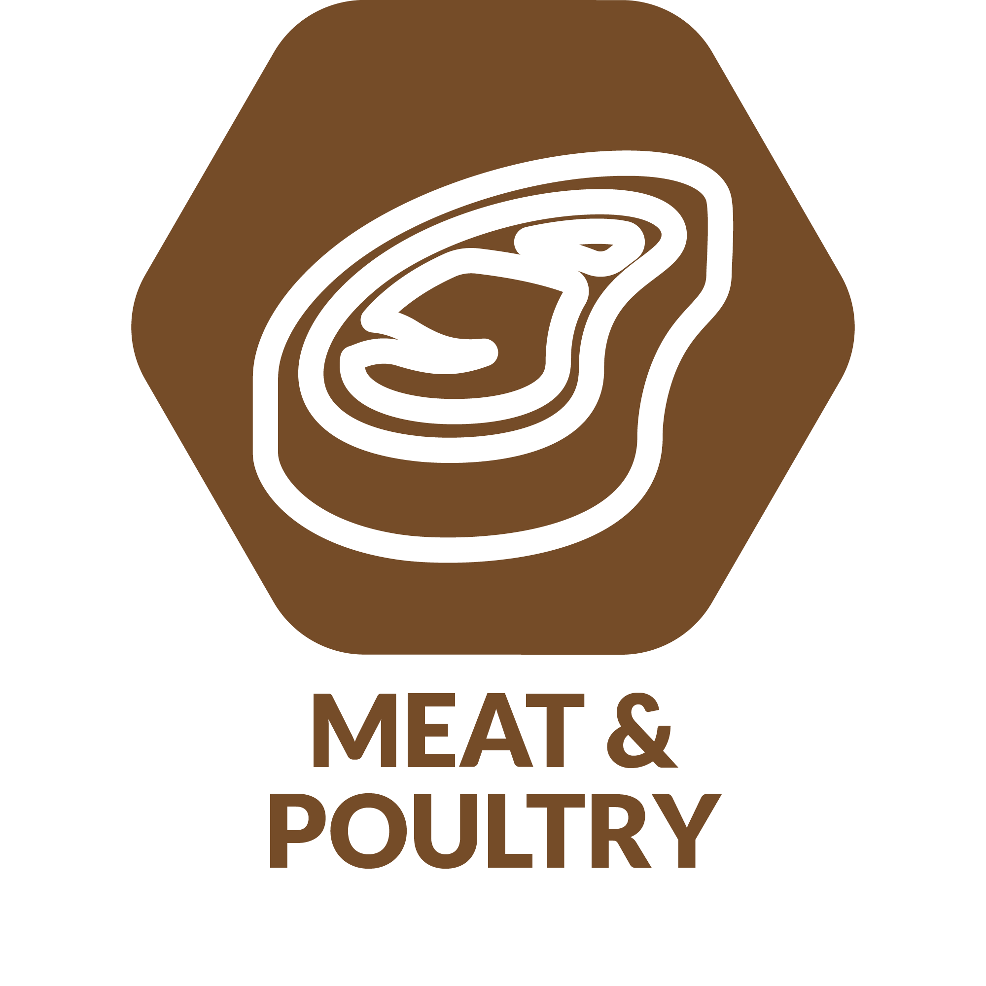 FHFB25_Segment Icon_Meat & Poultry