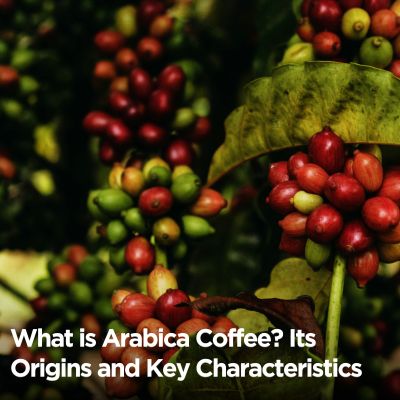What is Arabica Coffee? Its Origins and Key Characteristics