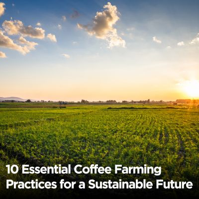 10 Essential Coffee Farming Practices for a Sustainable Future