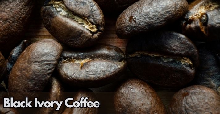 black-ivory-coffee